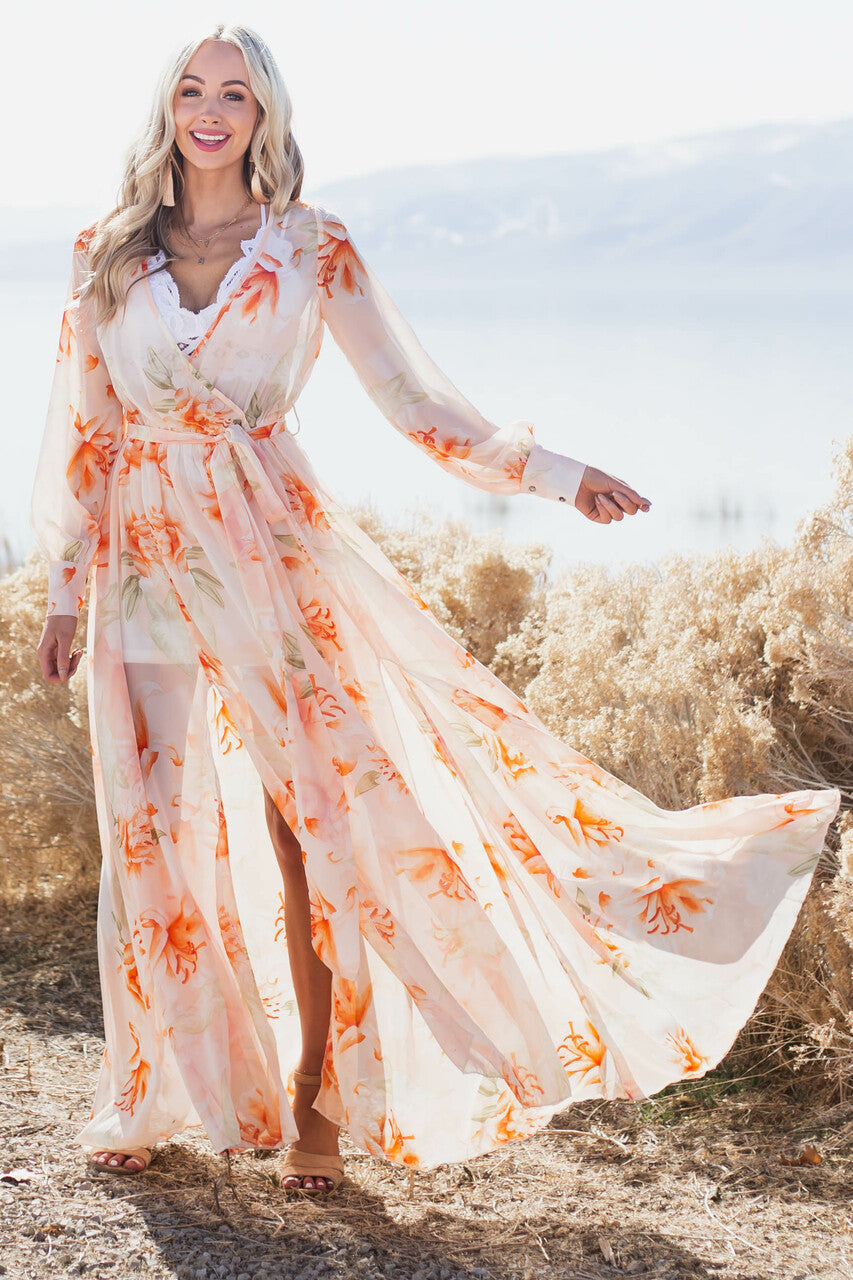 Long Sleeve Sheer Woven Maxi Dress ...